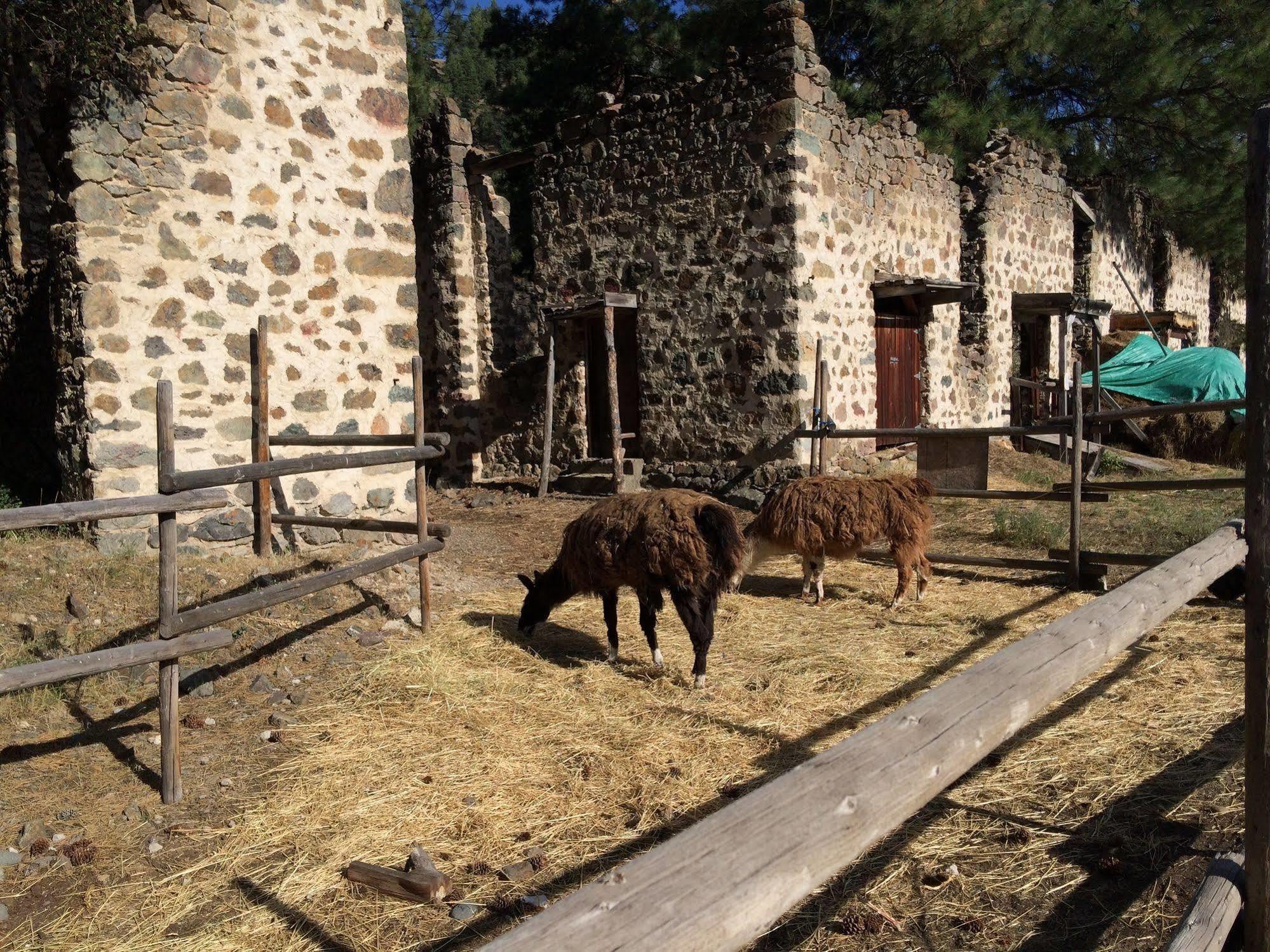 Rainbow Lake Castle Resort Princeton Εξωτερικό φωτογραφία